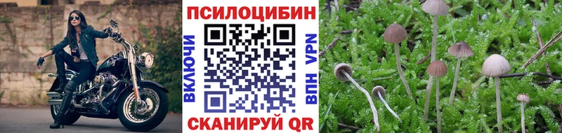 blacksprut маркетплейс  хочу   Череповец  Галлюциногенные грибы ЛСД 