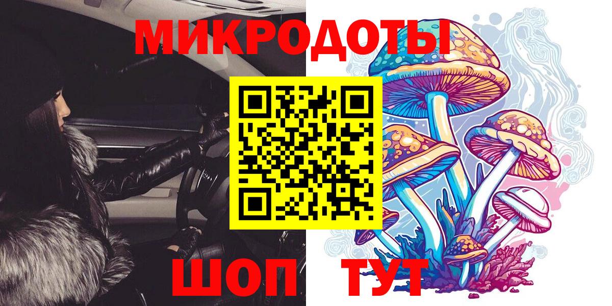 Псилоцибиновые грибы MAGIC MUSHROOMS  Череповец  Псилоцибиновые грибы прущие грибы 