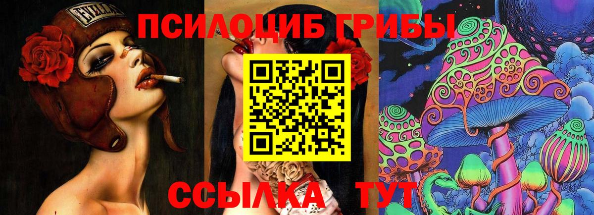 Галлюциногенные грибы Psilocybine cubensis Череповец